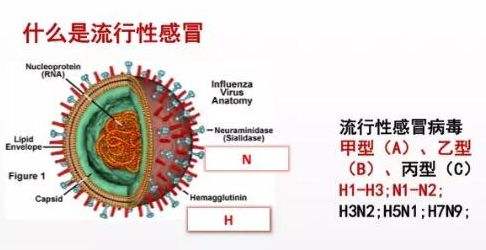 新风系统能够避免病毒交叉感染