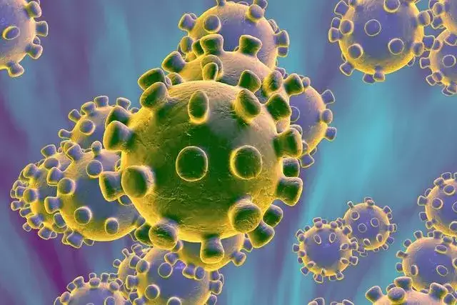 冠状病毒在空气中的存活时间及天气气候对疫情的传播影响